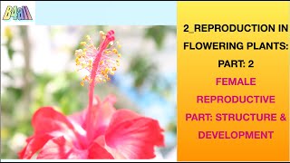 CH22SEXUAL REPRODUCTION IN FLOWERING PLANTSCBSEISCNEETNCERT BASED ASSESSMENT VIDEOBIOLOGY4ALL [upl. by Orecul]