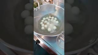 homemade rosogolla 😋 shortfeeds short shorts food viral cooking [upl. by Soalokin]