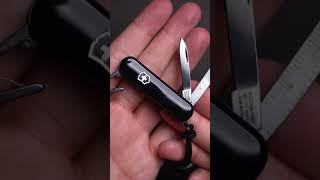 A Tiny Blackout EDC Tool  Victorinox Signature Lite MultiTool [upl. by Ahsilra]