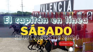 HINAVA hipódromo Valencia Sábado 17 de Agosto 2024 5y6 EL CAPITAN EN LINEA Fijos y marcas CAPITANAZO [upl. by Vaclav]