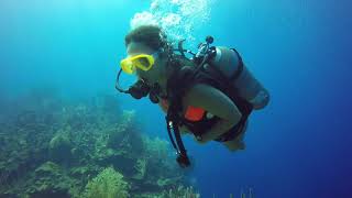 Go Pro Roatan Honduras Scuba Diving 2019 [upl. by Colner]