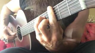 Zakk Wylde Sleeping Dog BLUES ACOUSTIC PROTO [upl. by Corron]