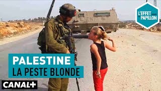 Palestine  La peste blonde  L’Effet Papillon [upl. by Ahselyt]