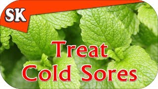 NATURAL COLD SORE REMEDY  Avoid Pharmaceuticals  Lemon Balm for Cold Sores [upl. by Reppart]