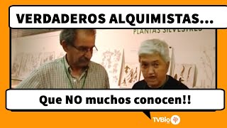 La botica de la abuela  REMEDIOS CASEROS para la tos  JARABE CASERO [upl. by Paik]