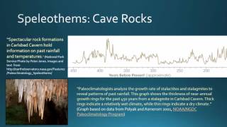 BIO 130 GCC Paleoclimatology Speleothems [upl. by Eimor589]