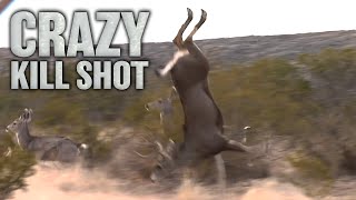 Craziest Crossbow Deer Hunt Ever [upl. by Rip941]