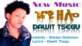 New Eritrean Music 2019  ጌናዩ ዘሎ Genayu Zelo By Dawit Tsegu [upl. by Valenka]