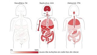 COMO SE DESENVOLVE O CÂNCER DE MAMA [upl. by Bastian]