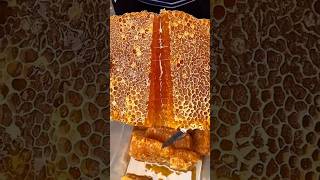 Extreme Honeycomb harvesting 🍯 Harvesting honey from beehive 🐝 EP78 trending shorts satisfying [upl. by Meta]