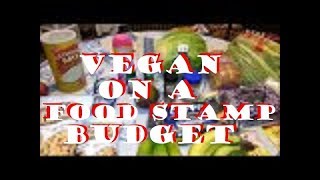 Vegan on a Food Stamp Budget  40 per Week for a family of 3 [upl. by Naji]