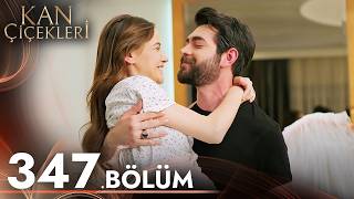 Kan Çiçekleri 347 Bölüm [upl. by Sosanna]