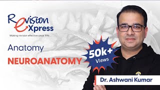 Revision eXpress Anatomy Neuroanatomy  Dr Ashwani Kumar [upl. by Suollecram552]