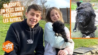 ON ADOPTE UN PETIT CHIEN PAS COMME LES AUTRES 🐶 Vlog [upl. by Uok458]