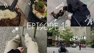 A chill day with nori彡  Short vlog Ep 1 [upl. by Luanne]