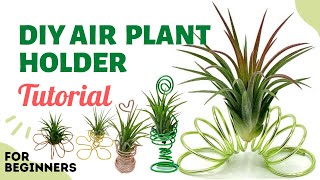 How to DIY an air plant holder [upl. by Anu]