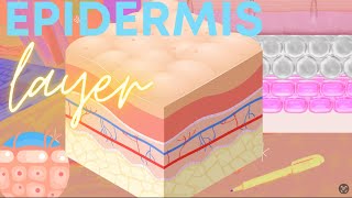 Integumentary Part 2 Epidermis Layer TagalogFilipino [upl. by Fraase762]