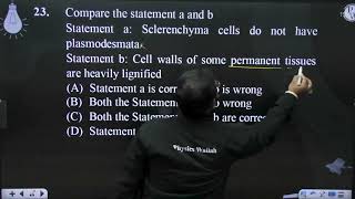 Compare the statement a and b Statement a Sclerenchyma cells do not have plasmodesmata Statemen [upl. by Adnohsor439]