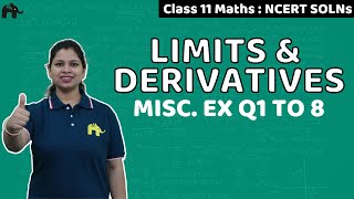 Limits And Derivatives Class 11 Maths  NCERT Solutions  Chapter 13 Miscellaneous Questions 18 [upl. by Oakleil933]