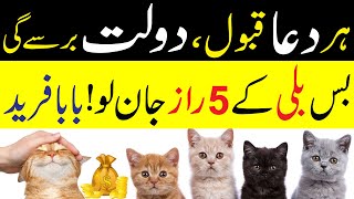 Billi Ke 5 Raaz Janlo  Har Dua Qabool  Dolat Barse Gi  Baba Fareed [upl. by Saied]