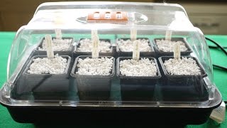 How To Use A Heated Propagator [upl. by Llerruj809]