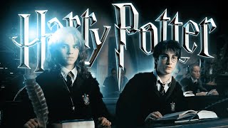 Snapes Defense Against the Dark Arts ◈ Hogwarts Harry Potter inspired ASMR Ambience No Dialogue [upl. by Blossom]