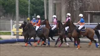 Partido Horseball SM  La Plaza Mixto [upl. by Nnael]