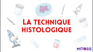 La technique histologique méthodes d’études en histologie [upl. by Eidaj]