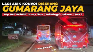 2 ANS LAGI SERU KONVOI DISERANG GUMARANG JAYA‼️😱  Trip ANS “Kasose”  Bukittinggi  Jakarta Part 3 [upl. by Harman13]