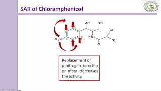 SAR of Chloramphenicol antibiotic [upl. by Aivekal]