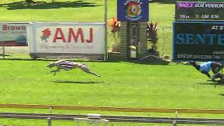 Capalaba29092024Race2 [upl. by Ellsworth]