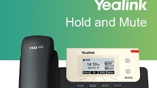 Yealink T21P E2 Hold and Mute [upl. by Jed4]