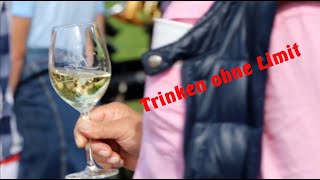 Trinken ohne Limit  Die verborgene Alkoholsucht Doku [upl. by Nosecyrb]