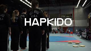 Hapkido demonstration at Swedish TKD Mastership 2017 [upl. by Devad]