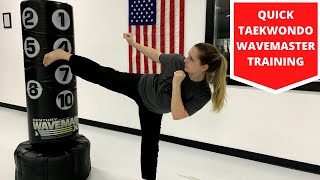 Quick Taekwondo Training with Wavemaster 2XL [upl. by Peisch843]