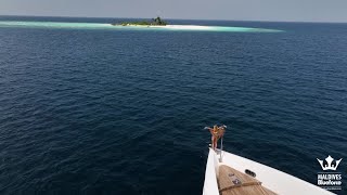 Diving in the Maldives  Central Atolls Route  Liveaboard week 20230204 [upl. by Dirtsa566]