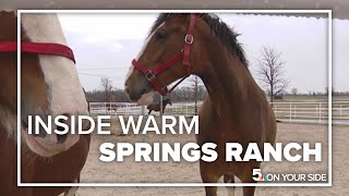 Inside the home of the Budweiser Clydesdale [upl. by Beverly]