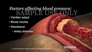 Understanding Basic Blood Pressure Control  Nucleus Health [upl. by Nemad421]