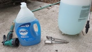 IMPROVED Soapy Water Insecticide Spray Dawn Dish Soap [upl. by Celestia]