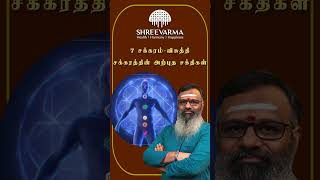 விசுத்தி சக்ரத்தின் அற்புத சக்திகள்  குரல் சக்தி  உங்களின் ஆன்மிக முன்னேற்றம் [upl. by Coonan802]