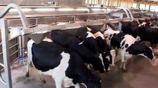 DeLaval EnDurance™ Herringbone Parlour  Canada  DeLaval Automated Milking Solutions  DeLaval [upl. by Essirahc]