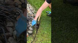 Garden Edging Transformationshorts diy garden lawn lawncare satisfying gardening lawnedging [upl. by Richara]