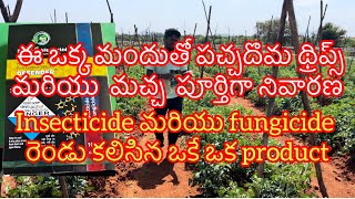 Insecticide మరియు fungicide రెండు కలిసిన మందు మచ్చ దోమ పూర్తిగా నివారణtamoto 🍅🍅 [upl. by Doti]