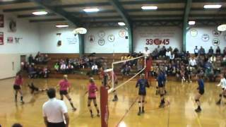 Little 10 Volleyball Tny  Newark vs Somonauk Highlights [upl. by Akcir]