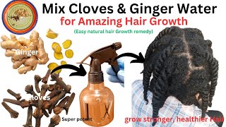 Cloves amp Ginger Water for Dandruff treatment and Hair Growth super potent natural remedy [upl. by Calv770]