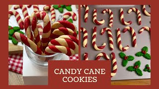 Candy Cane Cookies with Holly Leaves simple and easy cookie recipe [upl. by Kind]