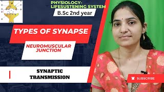 Types Of Synapse Bsc 2nd yearSynaptic TransmissionNeuromuscular Junctionsynapses4thsemestre [upl. by Inaliel734]