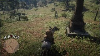 poisonous trail treasure hunt RDR2 2000 [upl. by Noet]