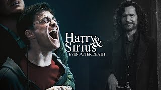 Harry amp Sirius  Even After Death [upl. by Peter359]