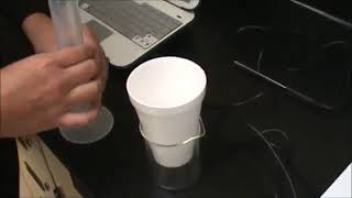 Endothermic and Exothermic Reactions Lab [upl. by Atnovart817]